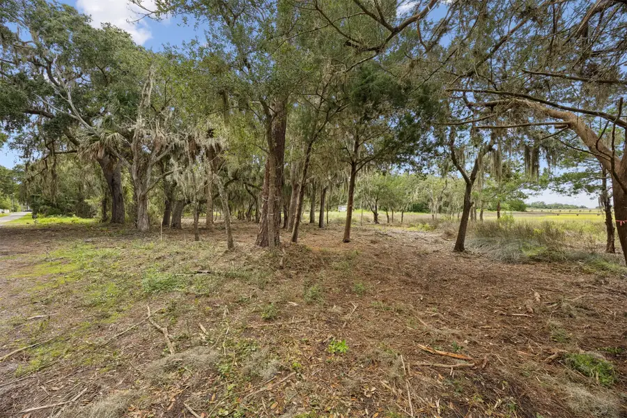 Lot 2 River Oaks Of Amelia, Fernandina Beach, FL 32034 - #3
