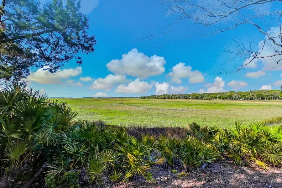 3117 Sea Marsh Road #3117, Amelia Island, FL 32034 - #2