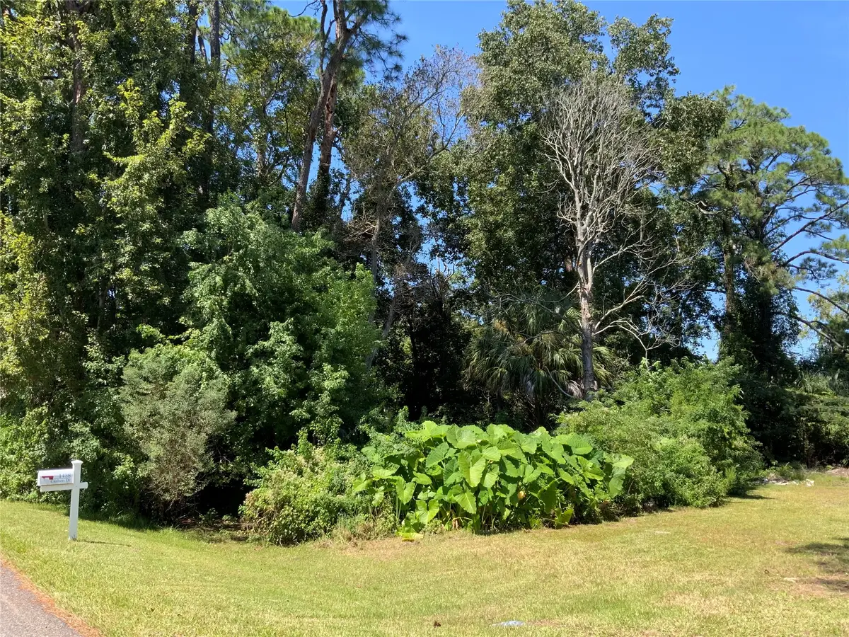 0 Cashen Drive, Fernandina Beach, FL 32034 - #1