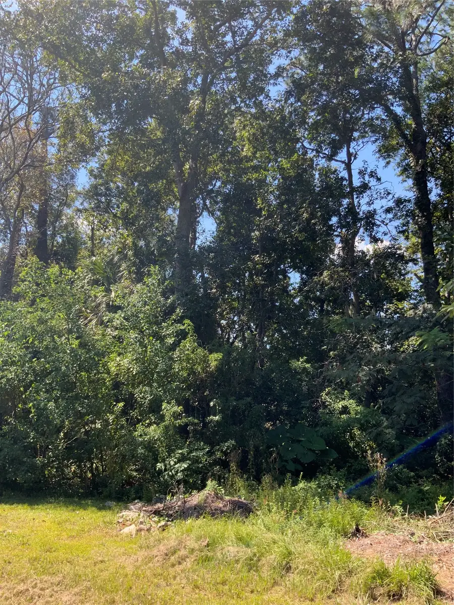 0 Cashen Drive, Fernandina Beach, FL 32034 - #2