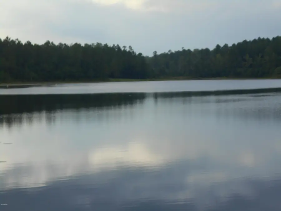 0 Mcduff Drive, Alford, FL 32420 - Image #2