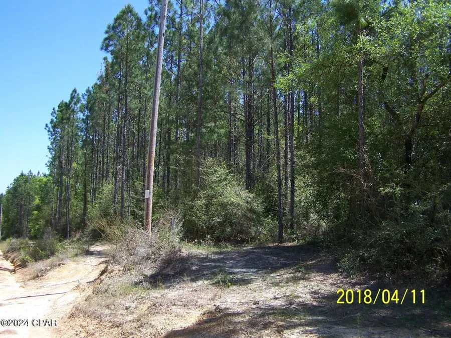 00 Noland Pond Road, Alford, FL 32420 - Image #3
