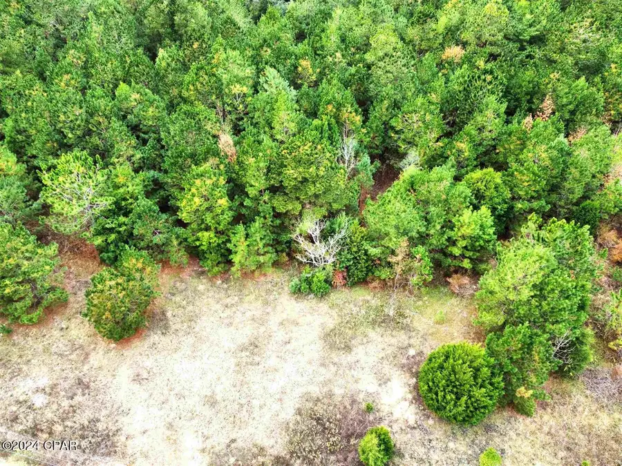 xxx Freeman Road, Bristol, FL 32321 - Image #3