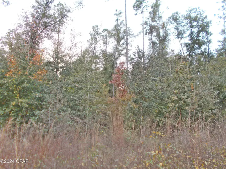 00 Green Road, Greenwood, FL 32443 - Image #2