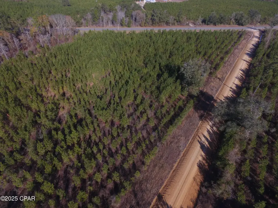 TBD Lot 3 Peanut Road, Cottondale, FL 32431 - Image #3