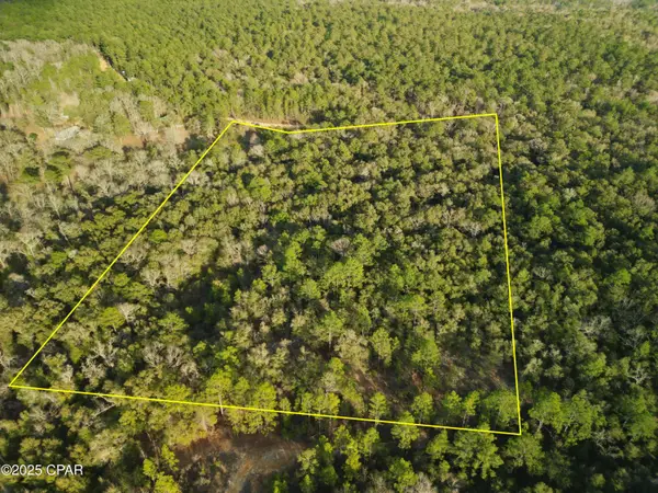 000 Creek Run Road, Vernon, FL 32462