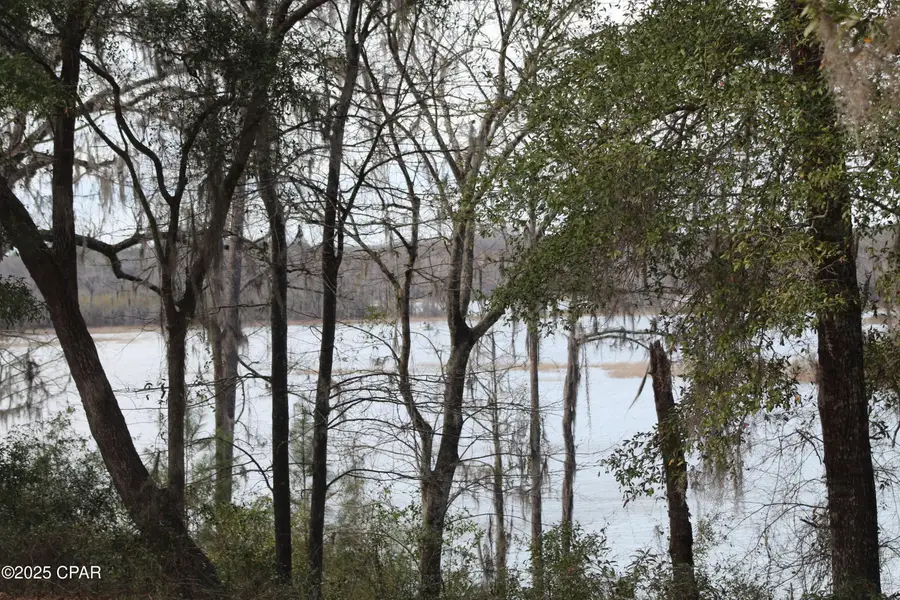 LOT 16 Bent Oaks Road, Chipley, FL 32428 - Image #2