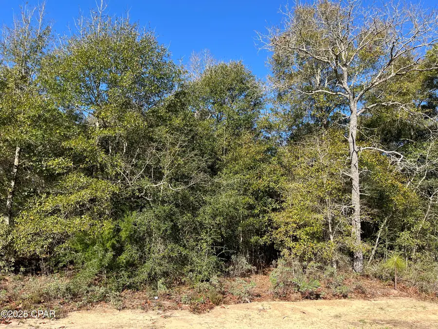 Lot 5 Viking Drive, Chipley, FL 32428 - Image #3
