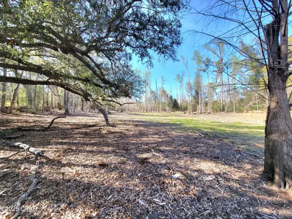 00 Highway 90, Sneads, FL 32460