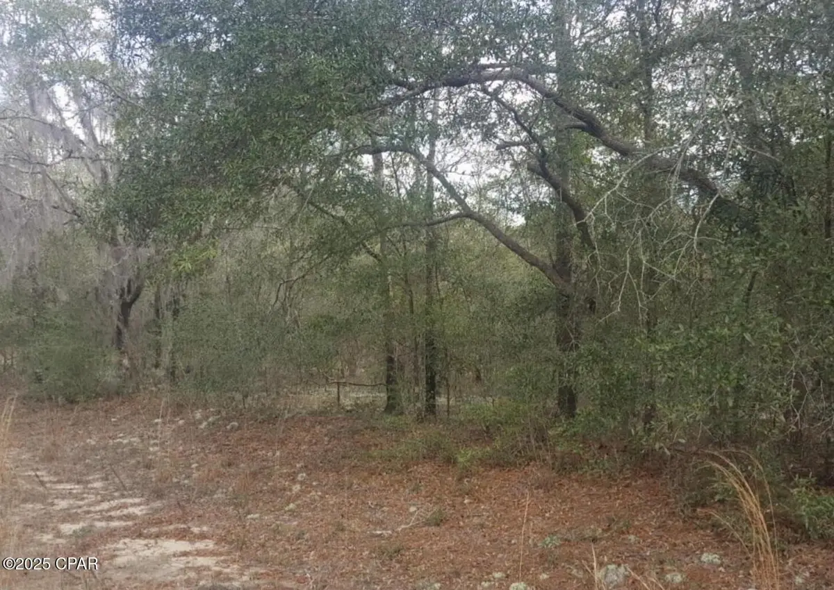 000 Fusion Circle, Chipley, FL 32428 - Image #1