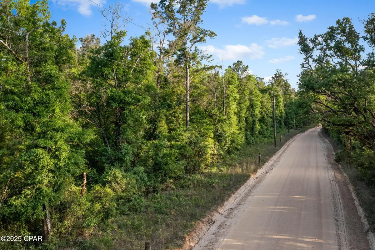 XXX Skipper Road, Vernon, FL 32462 - Image #1