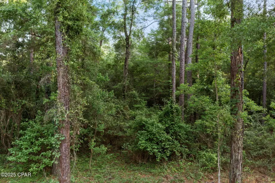 XXX Skipper Road, Vernon, FL 32462 - Image #2