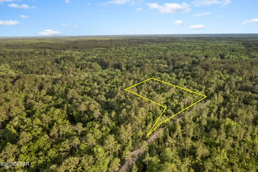 XXX Skipper Road, Vernon, FL 32462 - Image #3