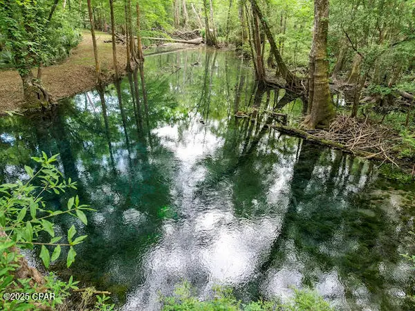 000 79 Highway, Vernon, FL 32462