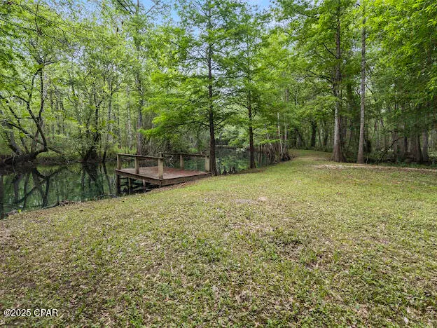 000 79 Highway, Vernon, FL 32462 - Image #3