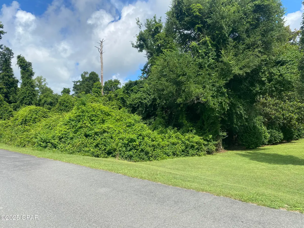 0000 Magnolia Blossom Lane #16, Marianna, FL 32446 - Image #1