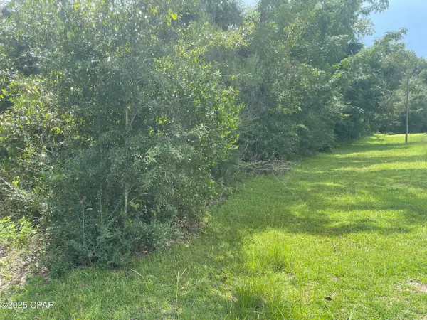 0000 Lot 9 Calhoun Road Road, Greenwood, FL 32443