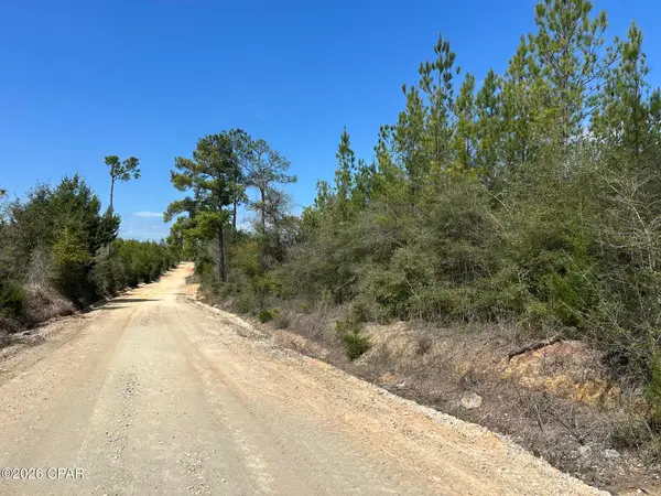 Tract# Mattox Springs Road #North 2, Caryville, FL 32427