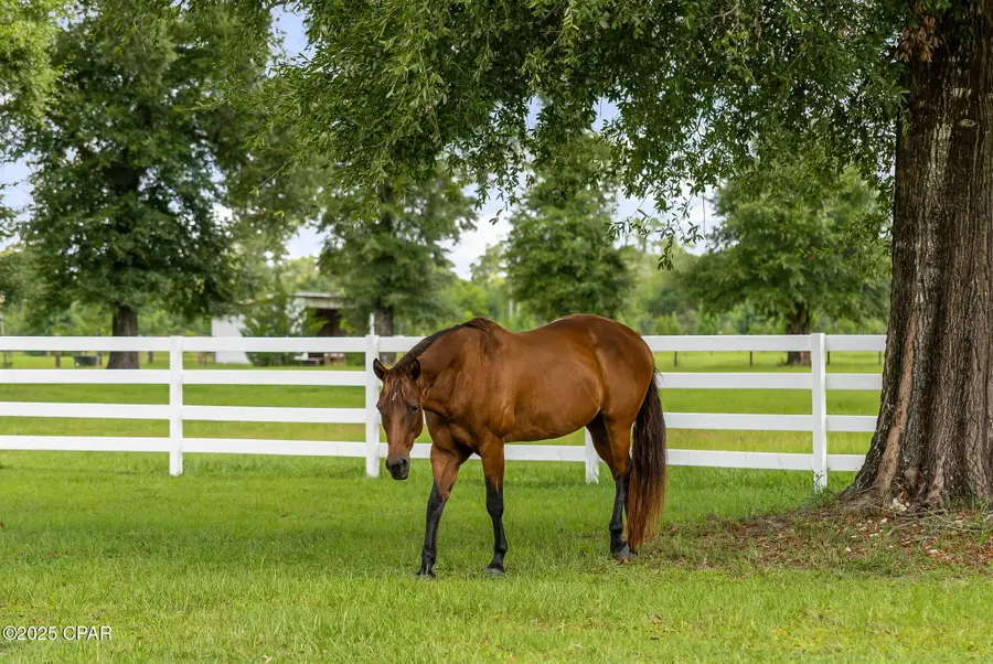 13935 Blue Springs Road, Youngstown, FL 32466 - Image #3