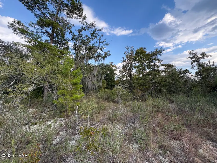 0 Channing Drive, Chipley, FL 32428 - Image #2