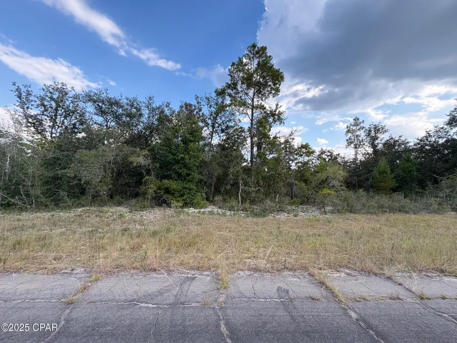 0 Channing Drive, Chipley, FL 32428 - Image #3