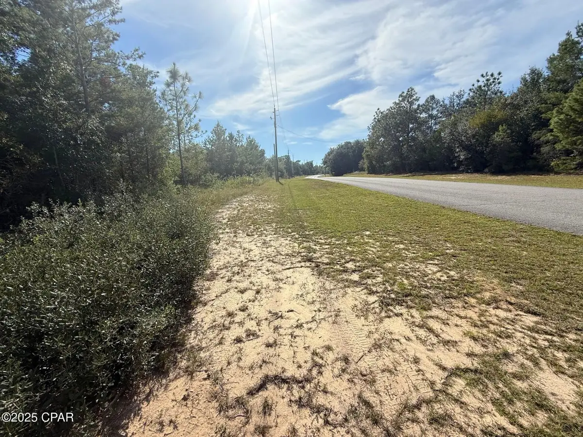 XXX Shenandoah Boulevard #Lot 4, Chipley, FL 32428 - Image #1