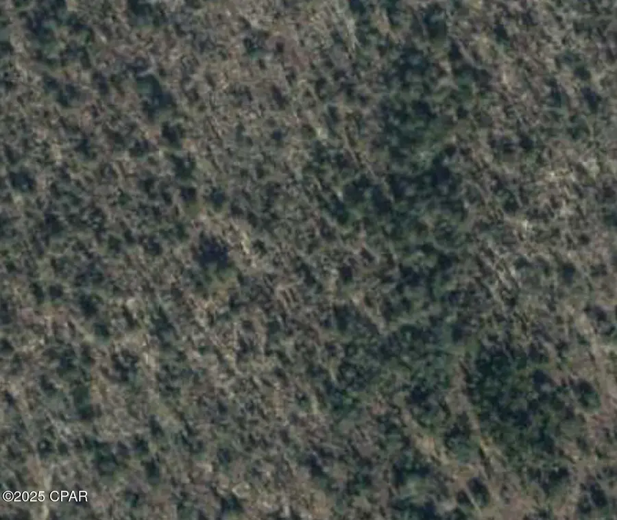 00 TBD Tipaquan Street, Marianna, FL 32448 - Image #2