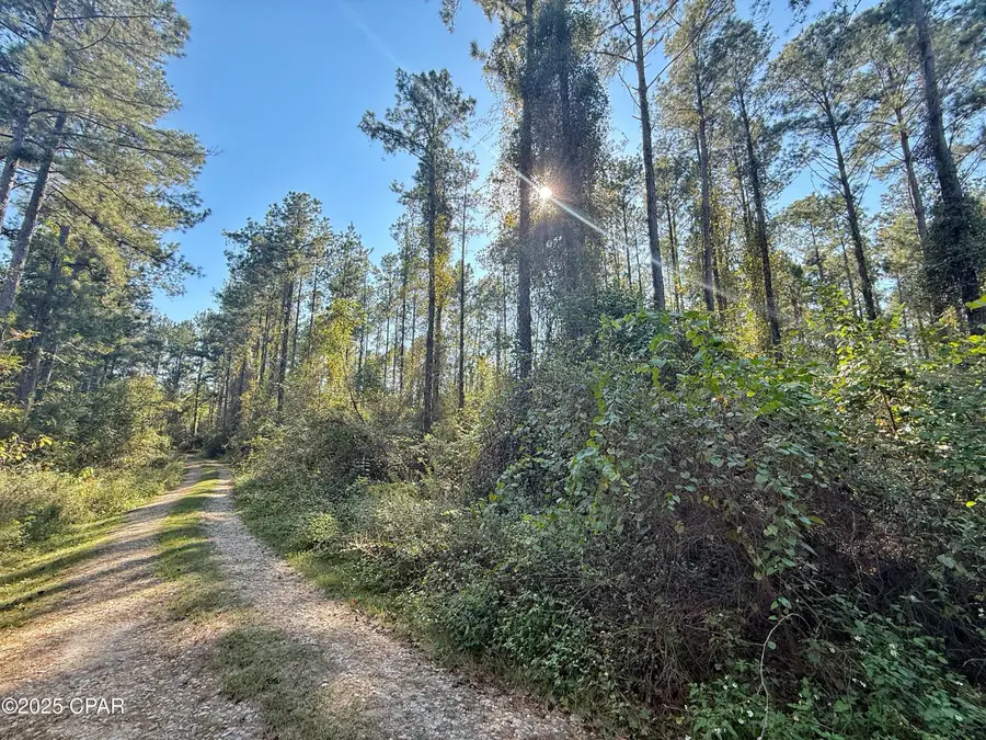 00 Lure Lane, Sneads, FL 32460 - Image #2