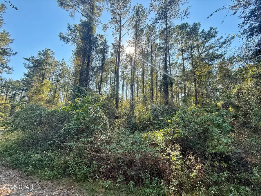 00 Lure Lane, Sneads, FL 32460 - Image #3