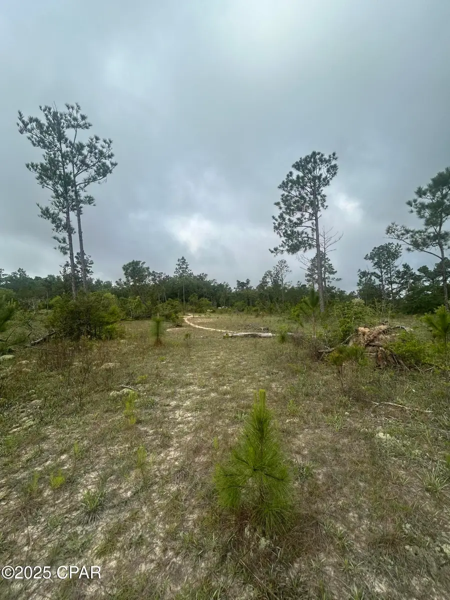 TBD Empire Avenue, Alford, FL 32420 - Image #3