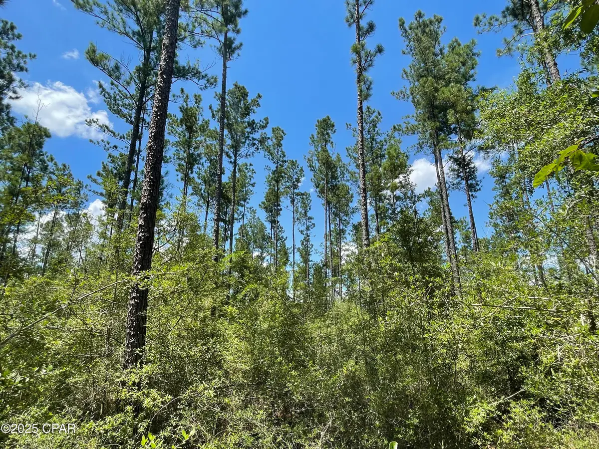 0000 Main Street, Ponce De Leon, FL 32455 - Image #1