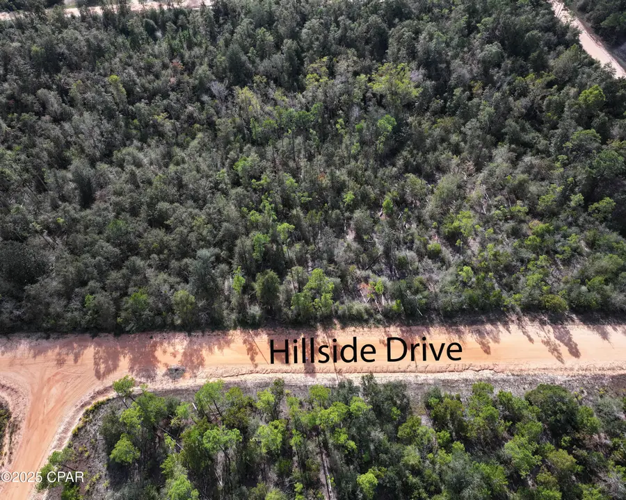 TBD Hillside Drive, Marianna, FL 32448 - Image #2