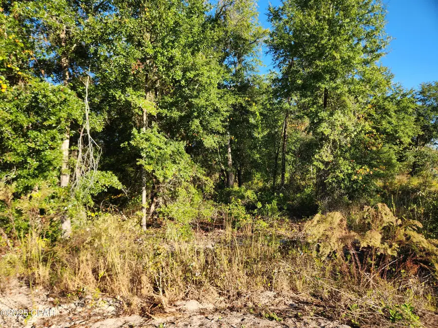 XXX Sr 20, Hosford, FL 32334 - Image #2