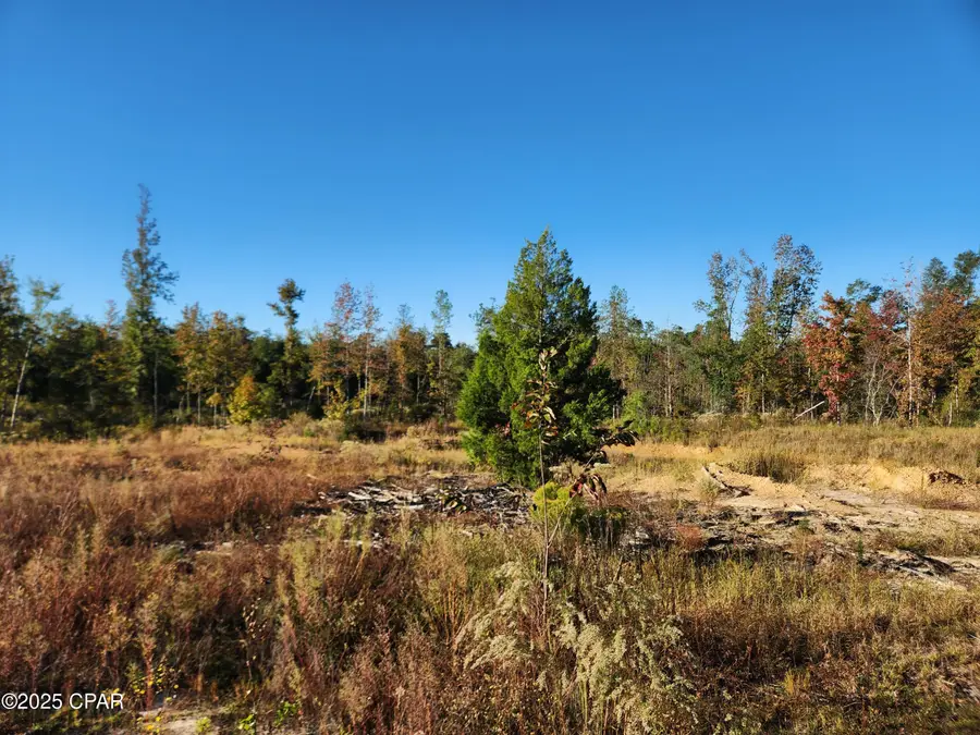 XXX Sr 20, Hosford, FL 32334 - Image #3