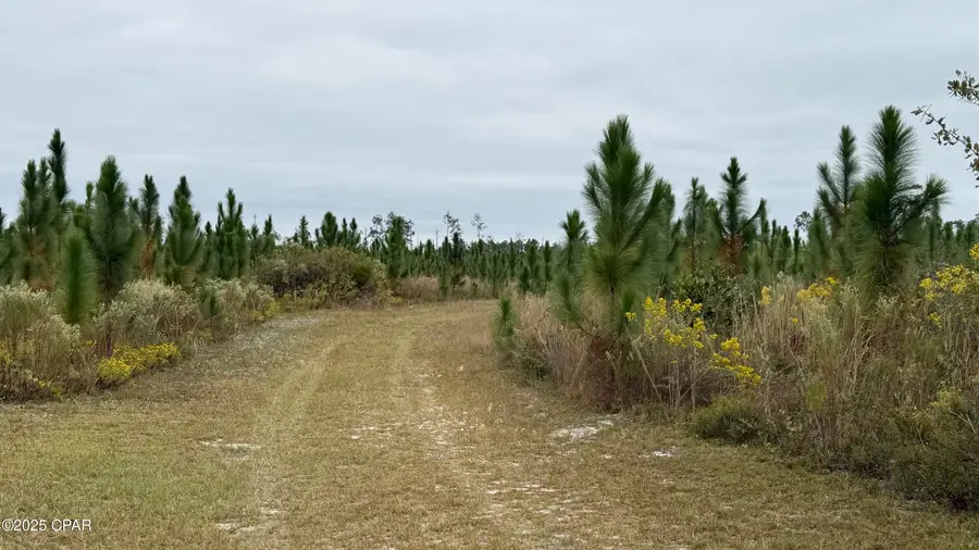 10900 E Hwy 388, Youngstown, FL 32466 - Image #2