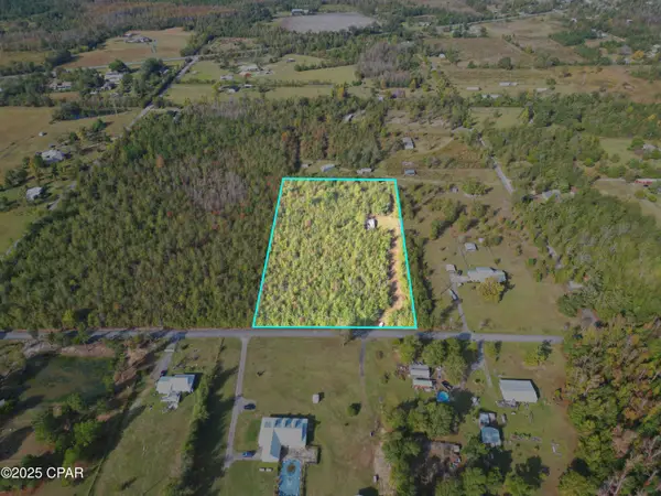 TBD Ne Luke Holland Road, Altha, FL 32421