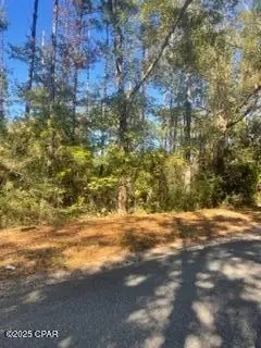 000 Mud Hill Road, Chipley, FL 32428 - Image #1