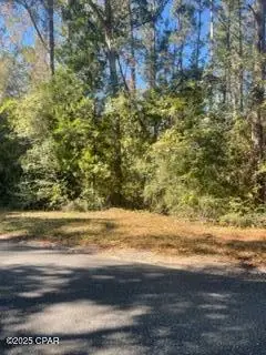 000 Mud Hill Road, Chipley, FL 32428 - Image #2