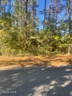 000 Mud Hill Road, Chipley, FL 32428 - Image #3