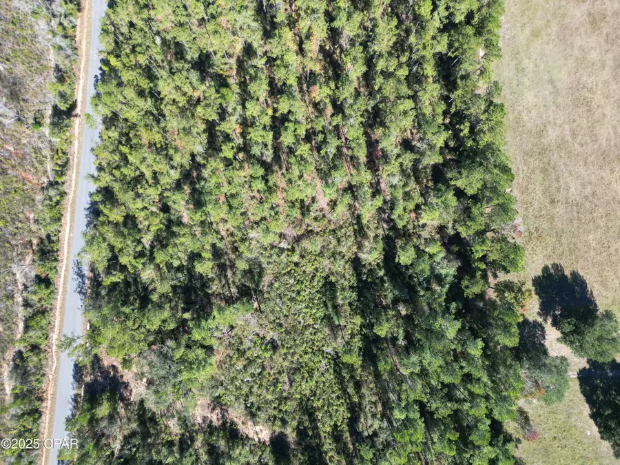 0000 Gainer Road, Chipley, FL 32428 - Image #2
