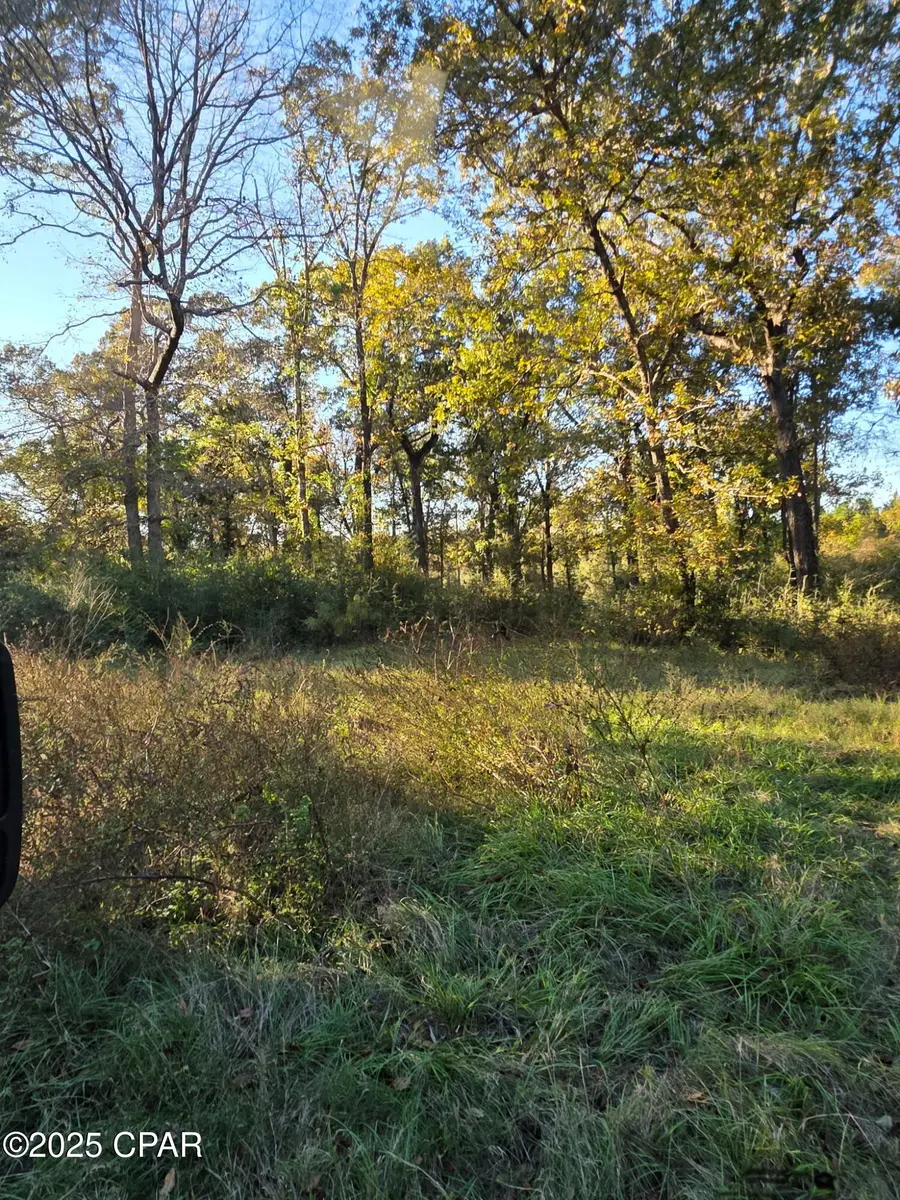 2785 Otter Pond Road, Westville, FL 32464 - Image #2