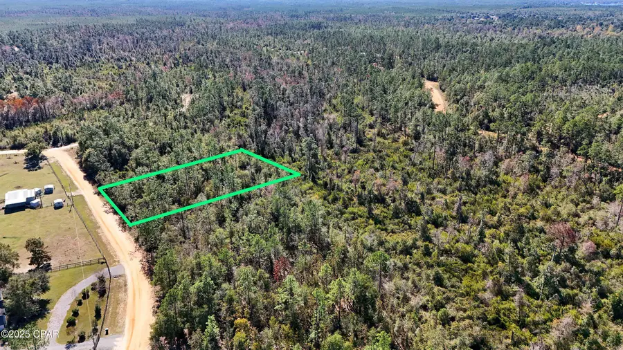 0 Monogahela Avenue, Alford, FL 32420 - Image #2