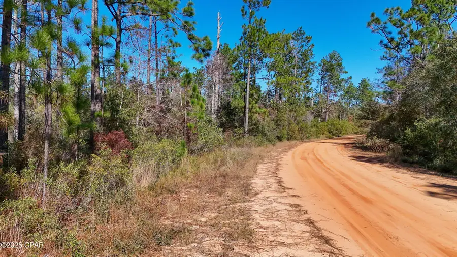 0 Grand Mesa Avenue, Alford, FL 32420 - Image #3