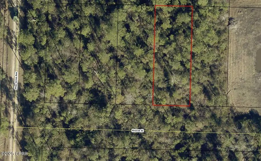 11717 Krocus Street, Fountain, FL 32438 - Image #2