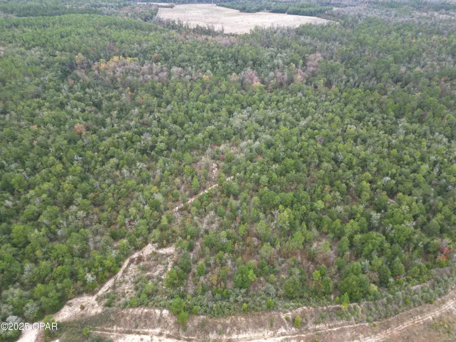 0000 Highview Circle, Chipley, FL 32428 - Image #2