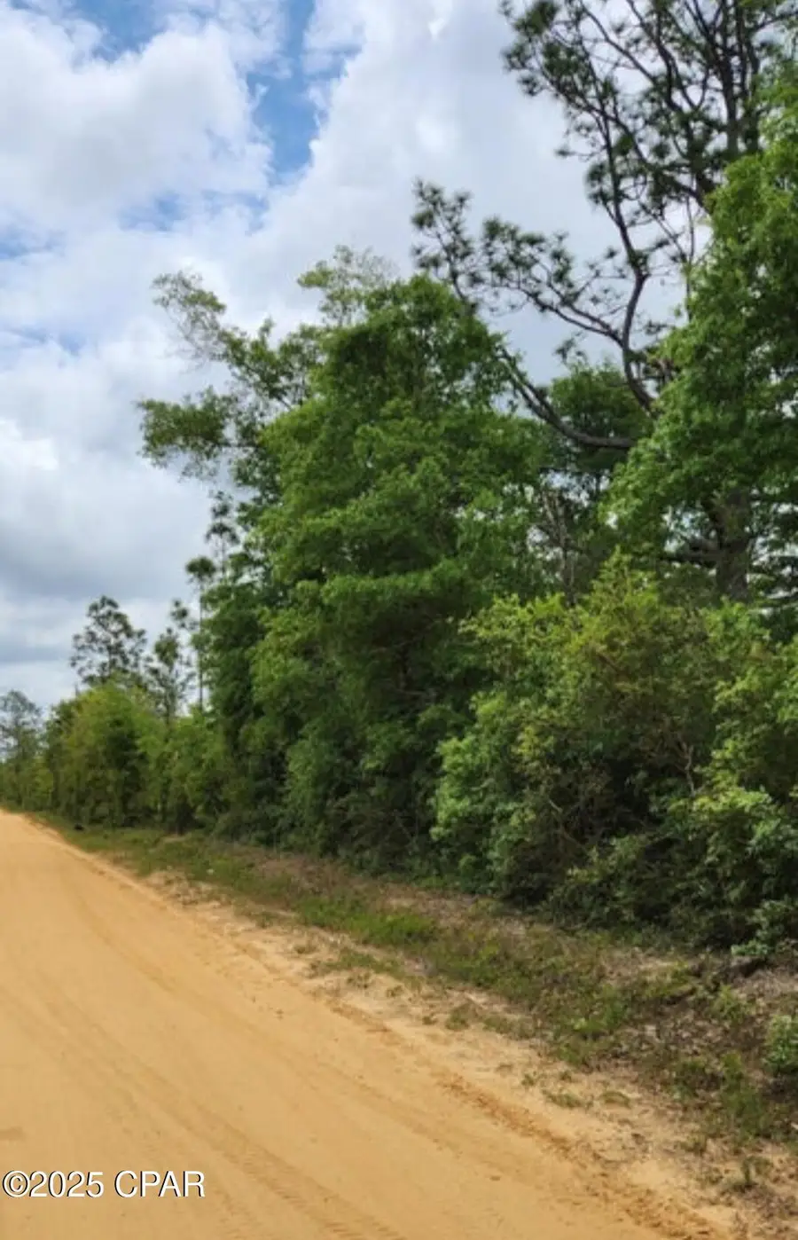 00000 S Silver Lake Road, Fountain, FL 32438 - Image #2