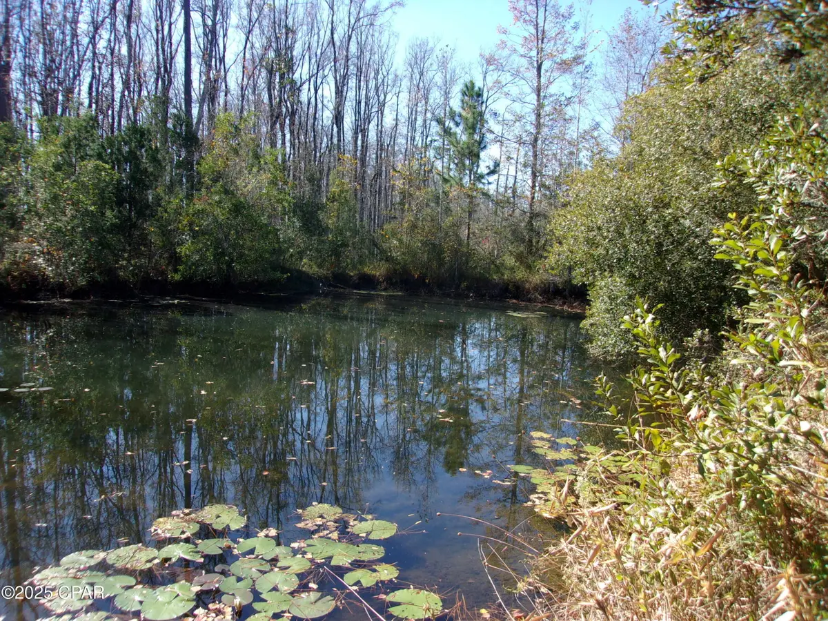 000 Windy Lewis Road, Bonifay, FL 32425 - Image #1