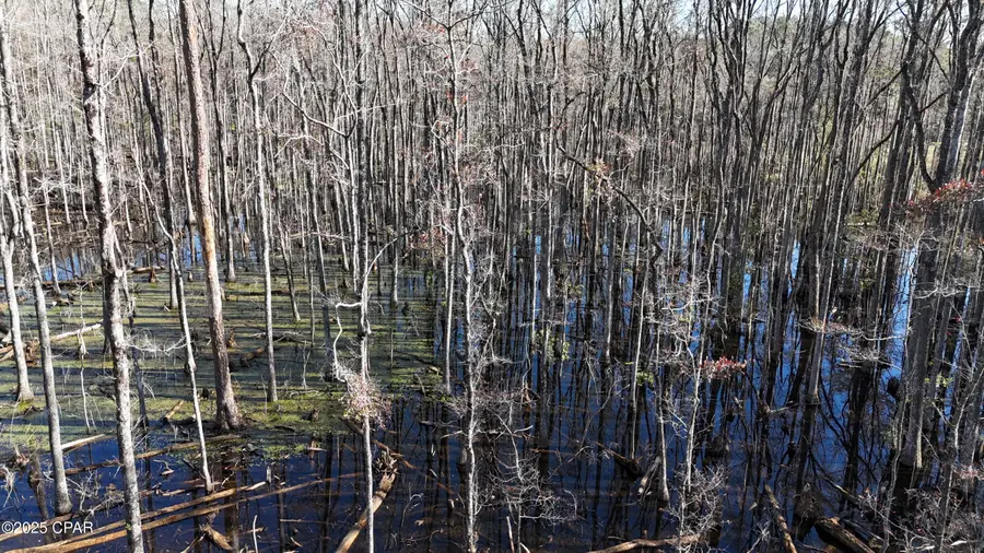 000 Windy Lewis Road, Bonifay, FL 32425 - Image #3