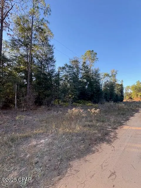 Lot #1 Arpana Circle, Alford, FL 32420 - Image #1