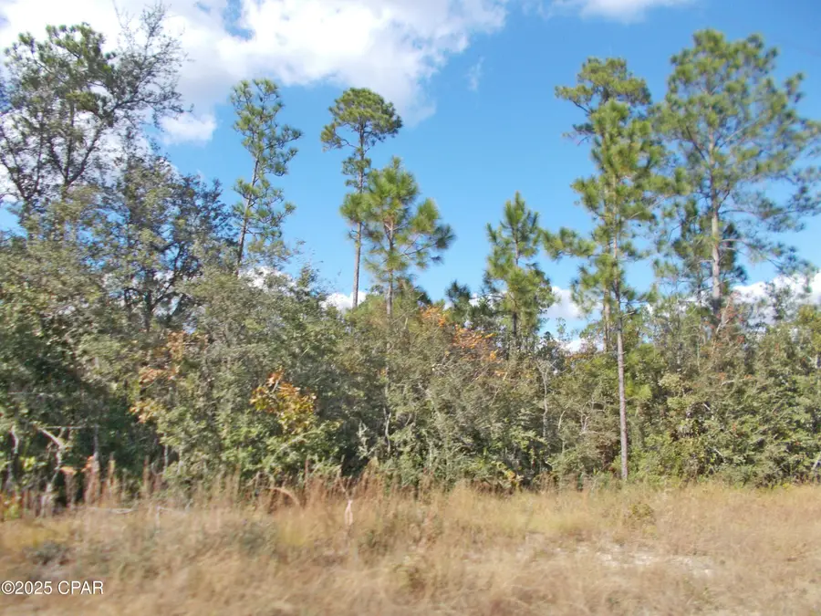 00 Nw Cr 167, Fountain, FL 32438 - Image #3